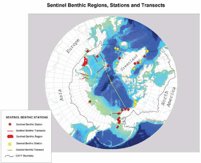  High Latitude and Cloudy Regions (e.g., Canada, Northern Europe, Russia)